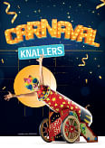 carnaval verkleedkleding - carnavalmaskers - pruiken - schmink - promotiez - euro shop