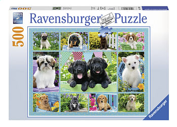 Promotions Ravensburger puzzel Snoezige Hondjes - Ravensburger - Valide de 17/10/2019 à 04/12/2019 chez Dreamland