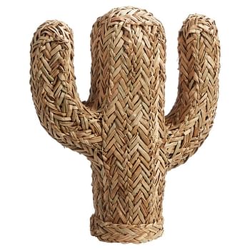 Anoniem progressief Daarom Huismerk - Kwantum Decoratie Cactus Stro Naturel - Promotie bij Kwantum
