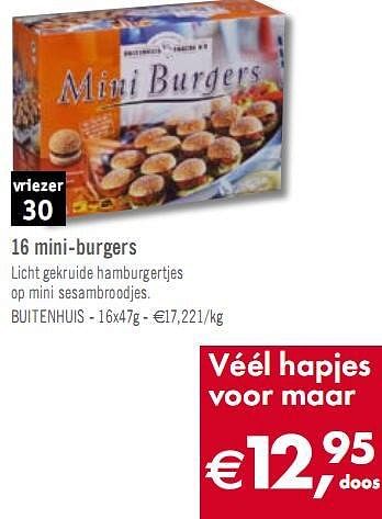 Promotions 16 mini-burgers - Diepvries afdeling - Valide de 05/01/2010 à 30/01/2010 chez O'Cool