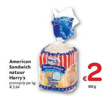 Promoties American sandwich natuur Harrys - Harry's - Geldig van 06/01/2010 tot 16/01/2010 bij Carrefour