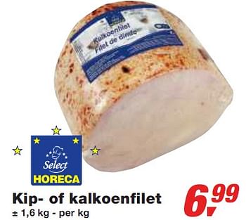 Promoties Kip- of kalkoenfilet - Huismerk - Makro - Geldig van 13/01/2010 tot 26/01/2010 bij Makro