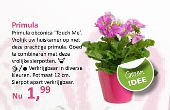 Promoties Primula - Huismerk - Groen Expert - Geldig van 18/03/2010 tot 24/03/2010 bij Groen Expert