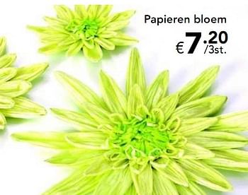 Promoties Papieren bloem - Huismerk - Happyland - Geldig van 26/03/2010 tot 11/04/2010 bij Happyland