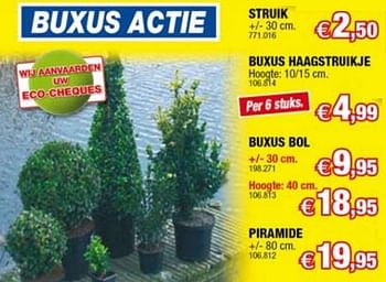 Promoties Buxus - Huismerk - Hubo  - Geldig van 31/03/2010 tot 18/04/2010 bij Hubo