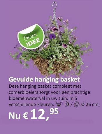 Promoties Gevulde hanging basket - Huismerk - Groen Expert - Geldig van 06/05/2010 tot 12/05/2010 bij Groen Expert