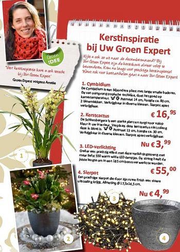 Promoties Kerstcactus - Huismerk - Groen Expert - Geldig van 18/11/2010 tot 24/11/2010 bij Groen Expert