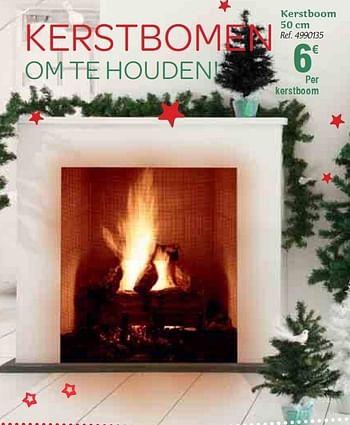 Promoties Kerstboom - Huismerk - Carrefour  - Geldig van 01/12/2010 tot 31/12/2010 bij Carrefour