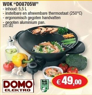 Promoties Wok  - Domo elektro - Geldig van 08/12/2010 tot 31/12/2010 bij Hubo