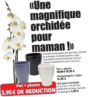 Promotions Pot + plante - Produit maison - Aveve - Valide de 04/05/2011 à 11/05/2011 chez Aveve