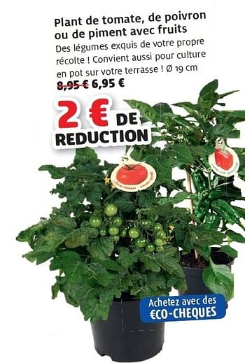 Promotions Plant de tomate - Produit maison - Aveve - Valide de 08/06/2011 à 18/06/2011 chez Aveve