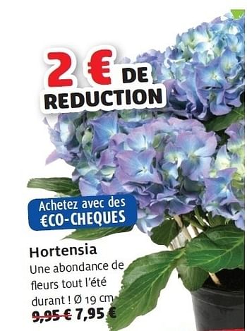 Promotions Hortensia - Produit maison - Aveve - Valide de 08/06/2011 à 18/06/2011 chez Aveve