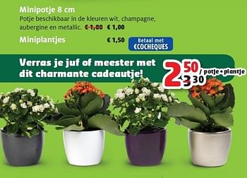 Promoties Miniplantjes - Huismerk - Aveve - Geldig van 22/06/2011 tot 02/07/2011 bij Aveve