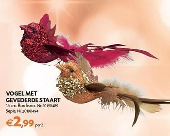 Promotions Vogel met gevederde staart - Produit maison - Fun - Valide de 01/11/2011 à 14/11/2011 chez Fun