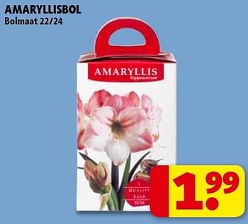 Promotions Amaryllisbol - Produit maison - Kruidvat - Valide de 01/11/2011 à 06/11/2011 chez Kruidvat