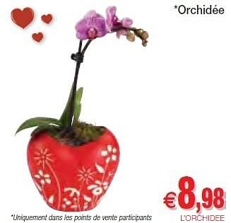 Promoties Orchidée - Huismerk - Intermarche - Geldig van 07/02/2012 tot 12/02/2012 bij Intermarche