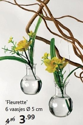 Promoties Fleurette - Huismerk - Casa - Geldig van 27/02/2012 tot 25/03/2012 bij Casa