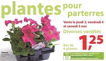 Promotions Pétunia
bac de 6 plantes - Produit maison - Gamma - Valide de 03/05/2012 à 05/05/2012 chez Gamma
