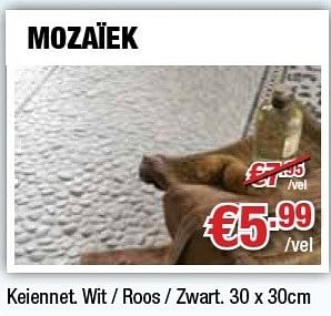 Promoties Mozaïek - Huismerk - Cevo - Geldig van 06/12/2012 tot 31/12/2012 bij Cevo Market