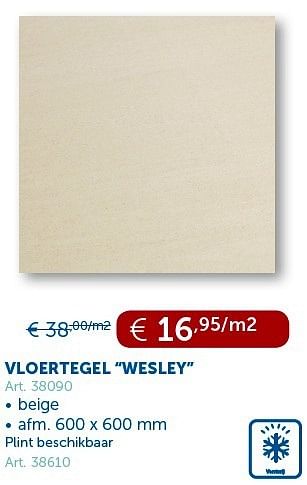 Promotions Vloertegel wesley - Produit maison - Zelfbouwmarkt - Valide de 29/01/2013 à 25/02/2013 chez Zelfbouwmarkt