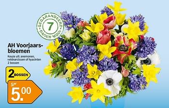 Promoties Ah voorjaars bloemen - Huismerk - Albert Heijn - Geldig van 04/02/2013 tot 10/02/2013 bij Albert Heijn