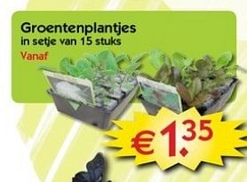 Promoties Groentenplantjes - Huismerk - Pelckmans - Geldig van 06/02/2013 tot 18/02/2013 bij Pelckmans Tuincenter