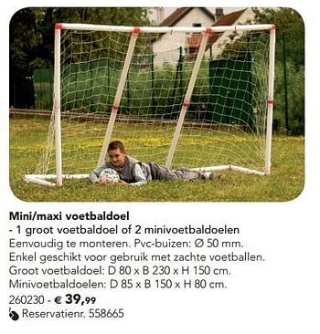 Promoties Mini-maxi voetbaldoel - Huismerk - Dreamland - Geldig van 07/02/2013 tot 17/08/2013 bij Dreamland