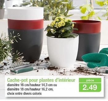 Promotions Cache-pot pour plantes d`intérieur - Produit maison - Aldi - Valide de 20/02/2013 à 26/02/2013 chez Aldi