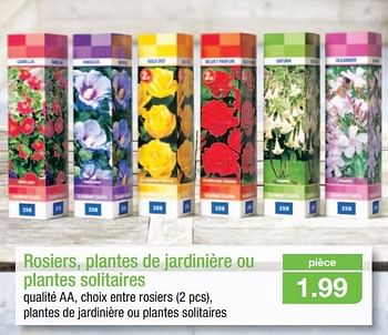 Promotions Rosiers, plantes de jardinière ou plantes solitaires - Produit maison - Aldi - Valide de 20/03/2013 à 26/03/2013 chez Aldi