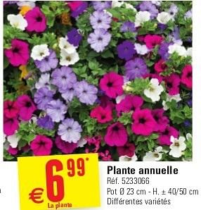 Promotions Plante annuelle - Produit maison - Brico - Valide de 29/05/2013 à 10/06/2013 chez Brico