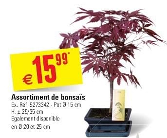 Promotions Assortiment de bonsaïs - Produit maison - Brico - Valide de 29/05/2013 à 10/06/2013 chez Brico