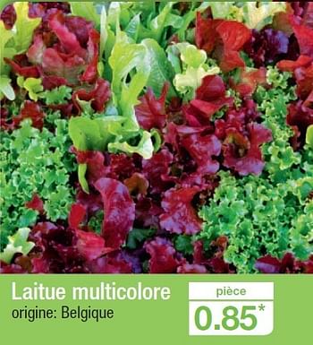 Promoties Laitue multicolore - Huismerk - Aldi - Geldig van 19/06/2013 tot 25/06/2013 bij Aldi