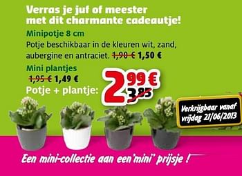 Promoties Minipotje - Huismerk - Aveve - Geldig van 19/06/2013 tot 29/06/2013 bij Aveve