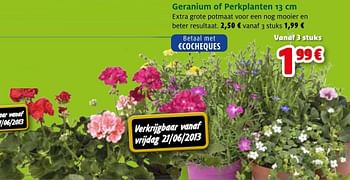 Promotions Geranium of perkplanten - Produit maison - Aveve - Valide de 19/06/2013 à 29/06/2013 chez Aveve