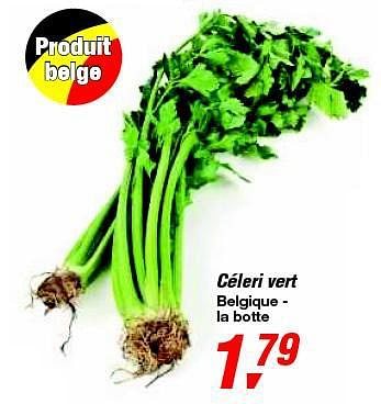 Promoties Céleri vert - Huismerk - Makro - Geldig van 12/02/2014 tot 25/02/2014 bij Makro
