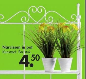 Promoties Narcissen in pot - Huismerk - Casa - Geldig van 24/02/2014 tot 30/03/2014 bij Casa