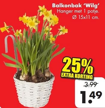 Promoties Balkonbak wilg - Huismerk - Big Bazar - Geldig van 03/03/2014 tot 16/03/2014 bij Big Bazar
