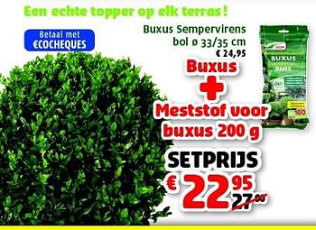 Promoties Buxus sempervirens bol - Huismerk - Aveve - Geldig van 25/03/2014 tot 05/04/2014 bij Aveve