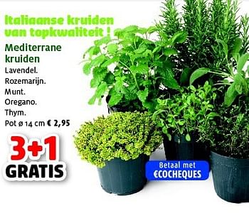 Promoties Mediterrane kruiden - Huismerk - Aveve - Geldig van 25/03/2014 tot 05/04/2014 bij Aveve