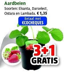 Promoties Aardbeien - Huismerk - Aveve - Geldig van 25/03/2014 tot 05/04/2014 bij Aveve