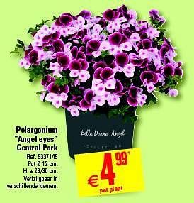 Promoties Pelargonium angel eyes central park - Central Park - Geldig van 09/04/2014 tot 28/04/2014 bij Brico