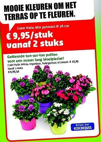 Promoties Color patio mix potmaat - Huismerk - Aveve - Geldig van 30/04/2014 tot 11/05/2014 bij Aveve