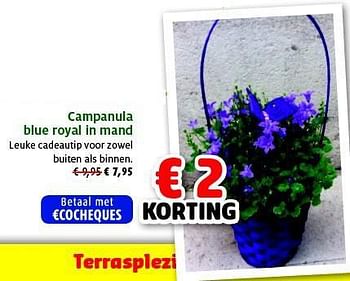 Promoties Campanula blue royal in mand - Huismerk - Aveve - Geldig van 30/04/2014 tot 11/05/2014 bij Aveve