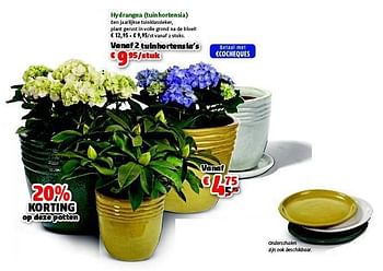 Promoties Hydrangea - Huismerk - Aveve - Geldig van 30/04/2014 tot 11/05/2014 bij Aveve