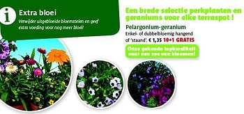 Promoties Pelargonium-geranium - Huismerk - Aveve - Geldig van 30/04/2014 tot 11/05/2014 bij Aveve