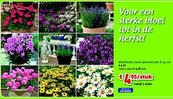 Promoties Bloeiende vaste planten pot - Huismerk - Aveve - Geldig van 27/05/2014 tot 08/06/2014 bij Aveve