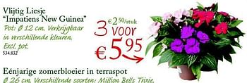 Promoties Vlijtig liesje impatiens new guinea - Huismerk - Walter Van Gastel - Geldig van 04/06/2014 tot 15/06/2014 bij Walter Van Gastel