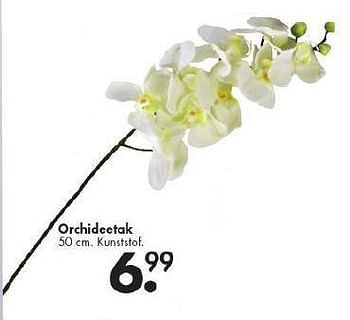 Promoties Orchideetak - Huismerk - Casa - Geldig van 28/07/2014 tot 24/08/2014 bij Casa