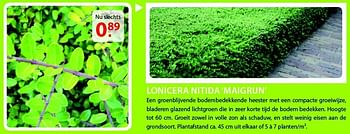 Promoties Lonicera nitida maigrun - Huismerk - Pelckmans - Geldig van 20/08/2014 tot 01/09/2014 bij Pelckmans Tuincenter