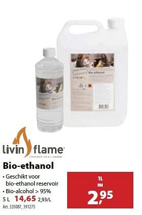 groot vanavond vertraging Livin Flame Bio-ethanol - Promotie bij Gamma